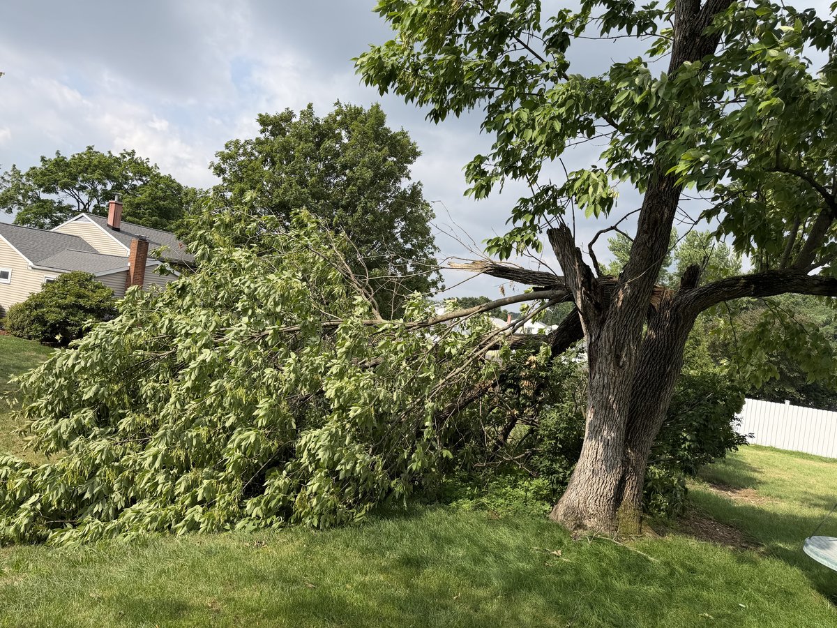 A large tree with broken branches leans over a residential yard with green grass, a house visible in the background, and white fencing along the property edge.